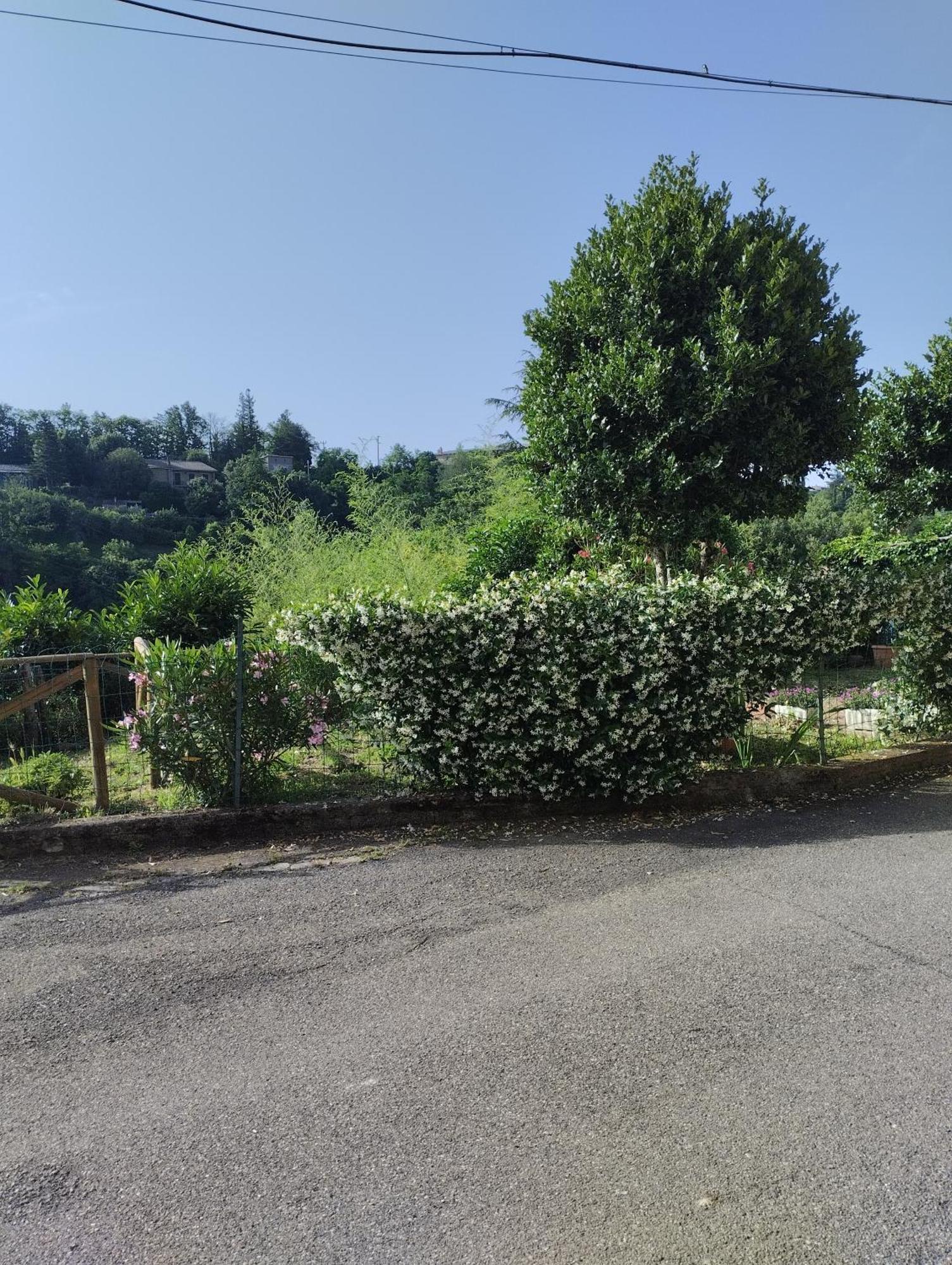 Casavacanzetorresansevero Orvieto Eksteriør bilde